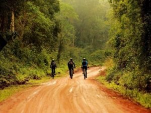 Biking Tours for Nature Enthusiasts